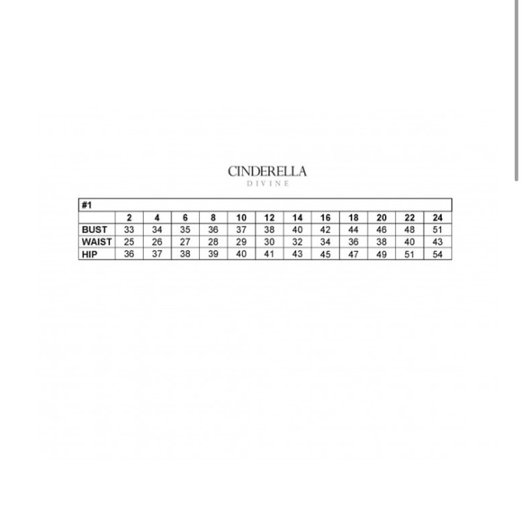 I am selling a Cinderella divine gown with tags. - Picture 4 of 4